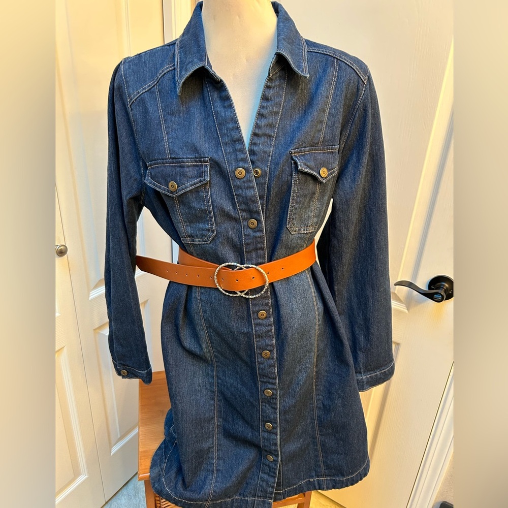 Cleo Denim Long Sleeve Dress